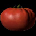 Vegetable